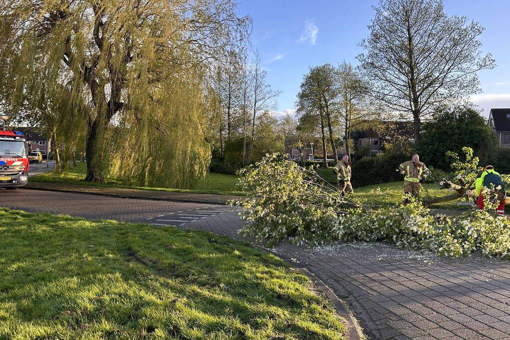 Omgewaaide boom belandt op weg