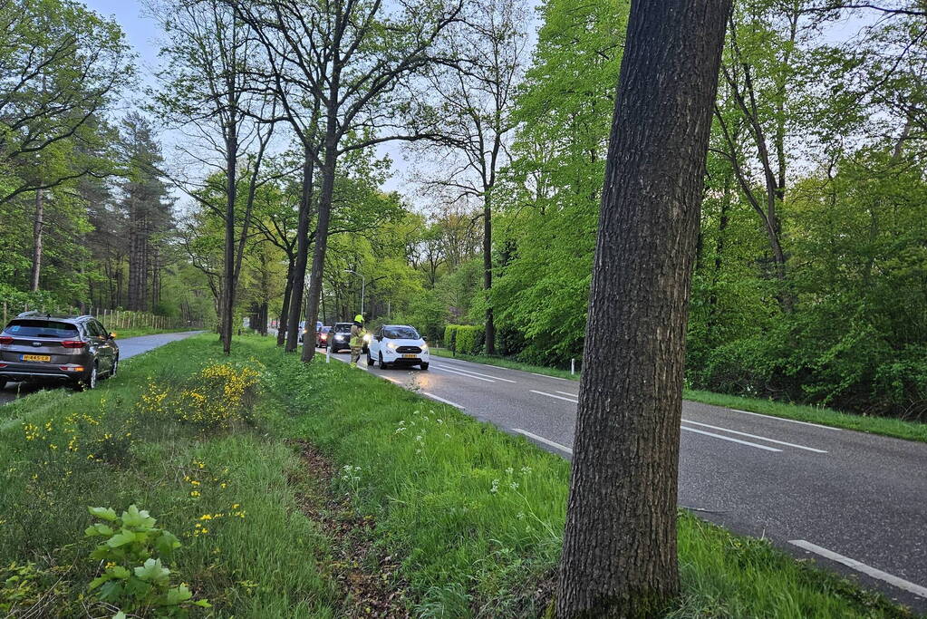 Boom valt om en belandt op provinciale weg