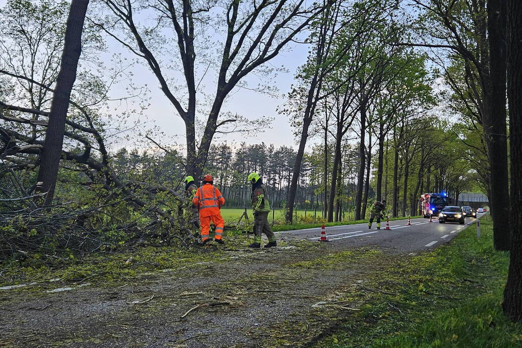 Boom valt om en belandt op provinciale weg