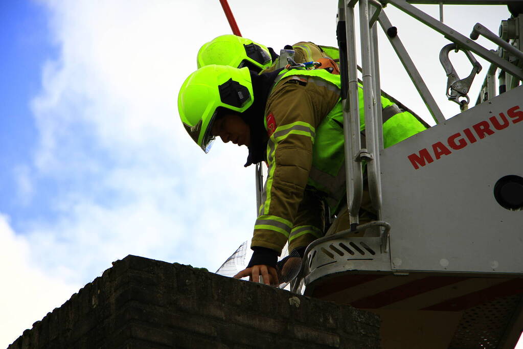 Brandweer ingezet voor dier in nood