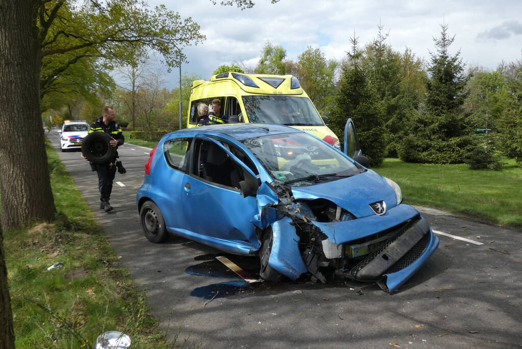 Automobilist botst tegen boom