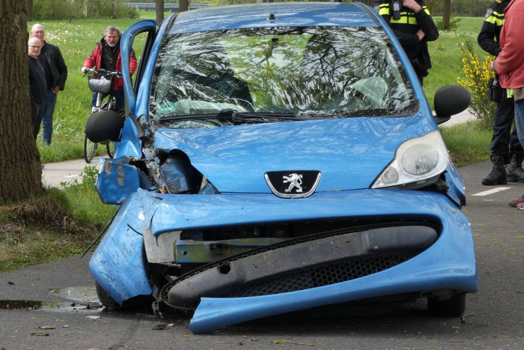 Automobilist botst tegen boom