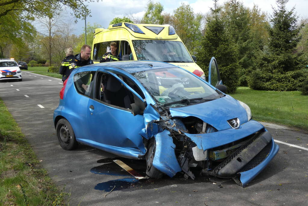 Automobilist botst tegen boom