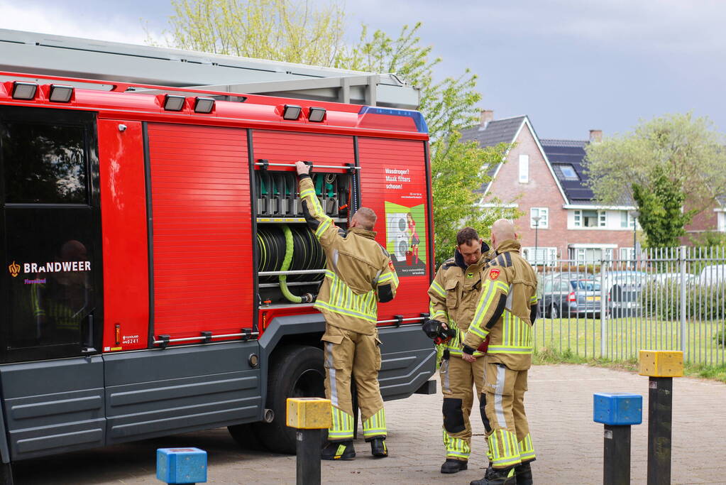 Brandweer blust brandende boom