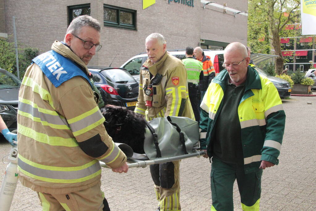 Hond gered door brandweer bij woningbrand