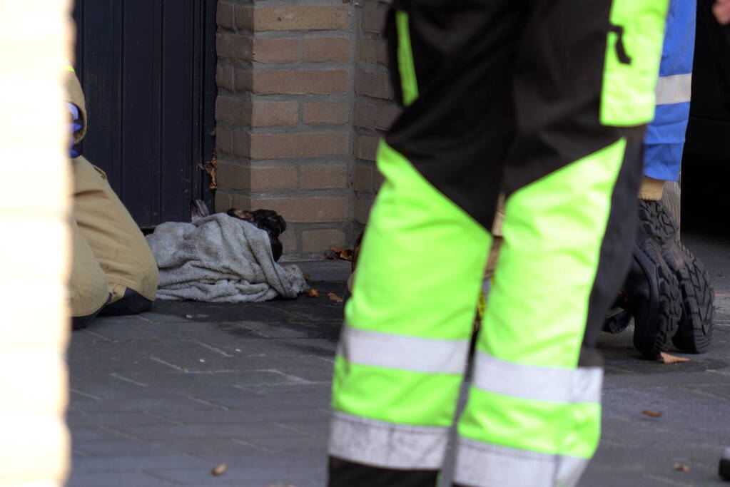 Konijn gered bij uitslaande brand in tuinhuisje