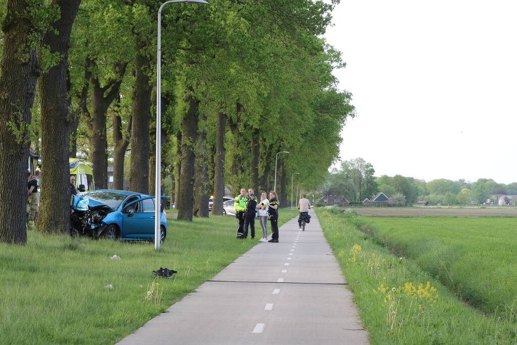 Bestuurder ernstig gewond na frontale botsing tegen boom