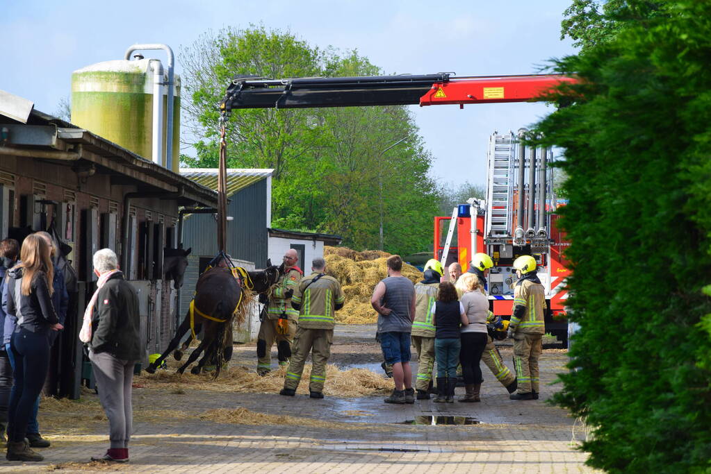 Brandweer ingezet nadat paard niet meer zelfstandig opstaat