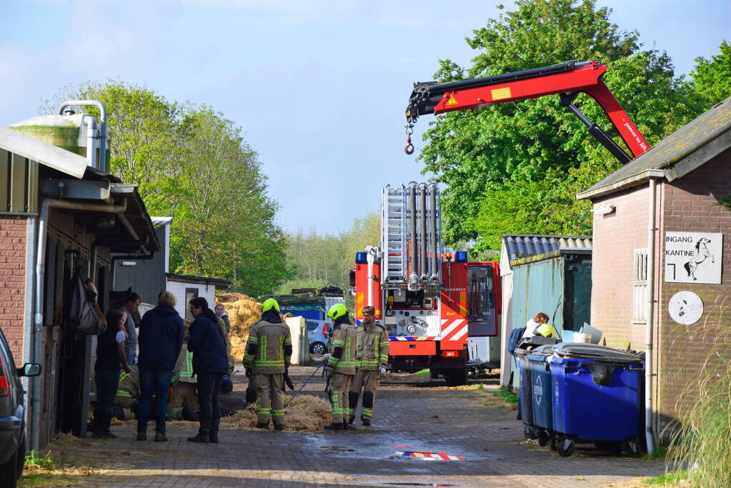 Brandweer ingezet nadat paard niet meer zelfstandig opstaat