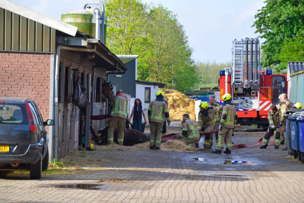 Brandweer ingezet nadat paard niet meer zelfstandig opstaat