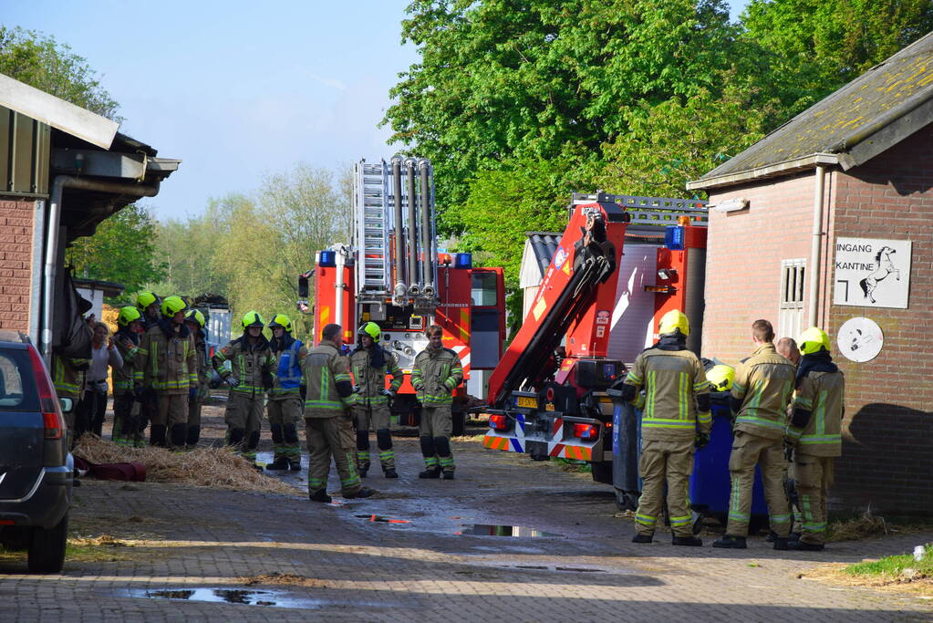 Brandweer ingezet nadat paard niet meer zelfstandig opstaat