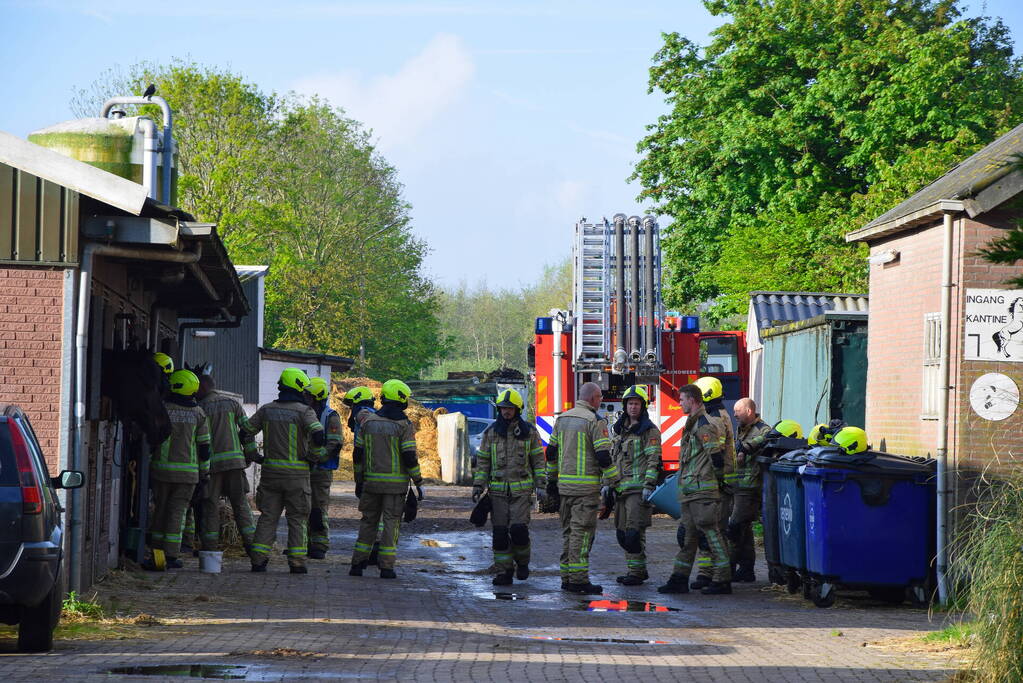 Brandweer ingezet nadat paard niet meer zelfstandig opstaat