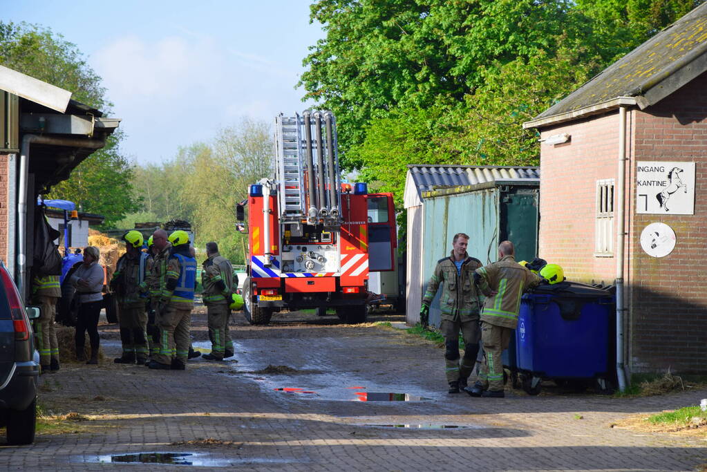 Brandweer ingezet nadat paard niet meer zelfstandig opstaat