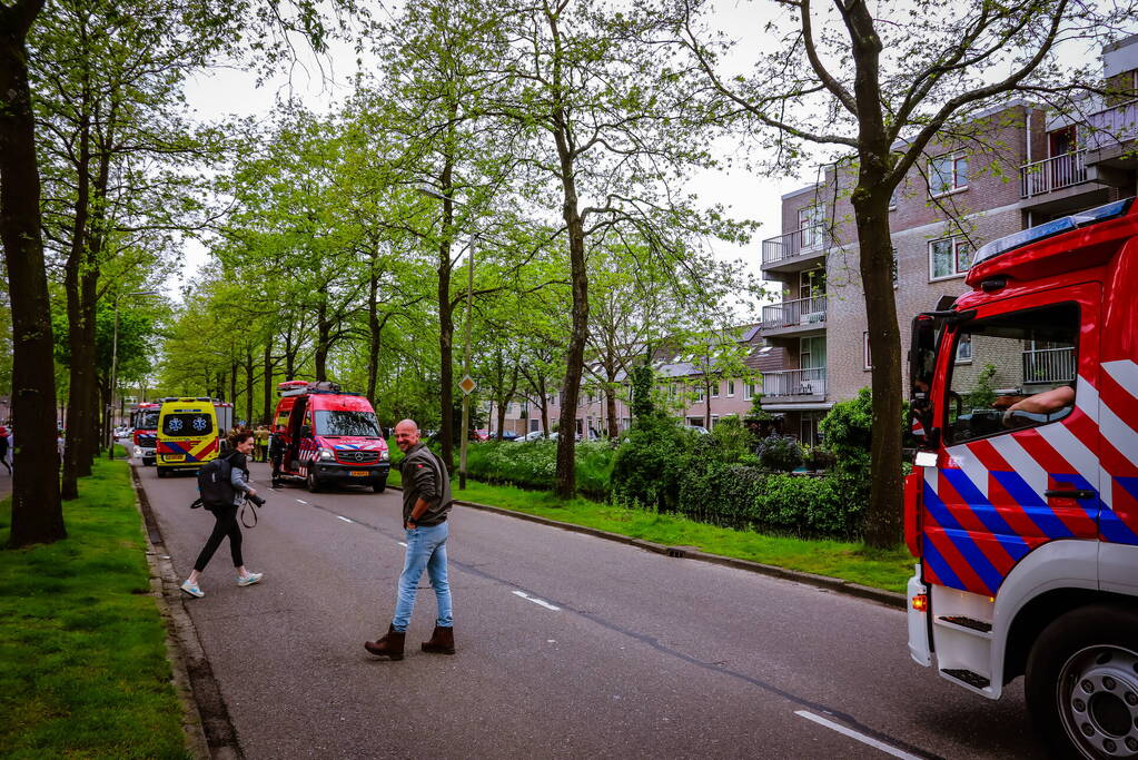 Broer springt in het water om zusje te redden