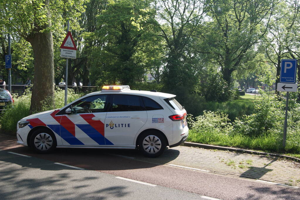 Automobilist klapt op lantaarnpaal en boom en belandt op zijn kop