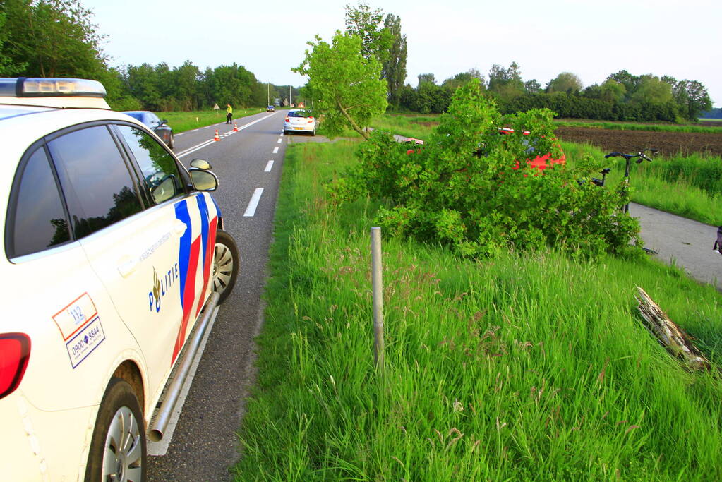 Automobilist raakt van de weg en klapt op boom