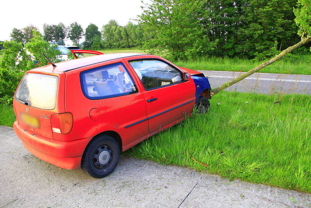 Automobilist raakt van de weg en klapt op boom