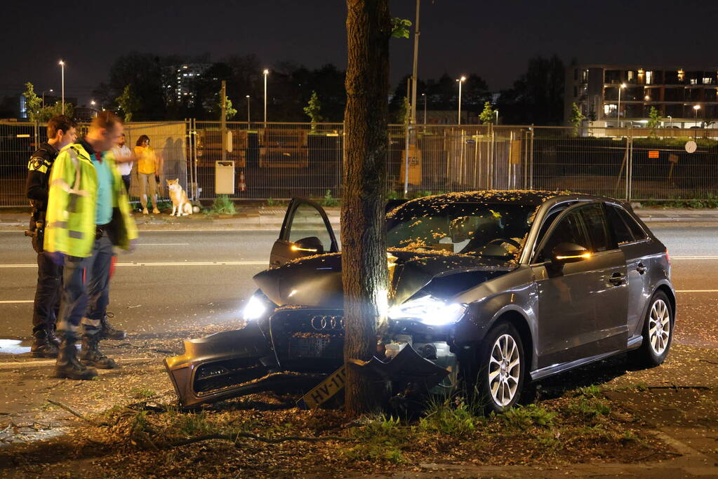 Automobilist klapt op boom