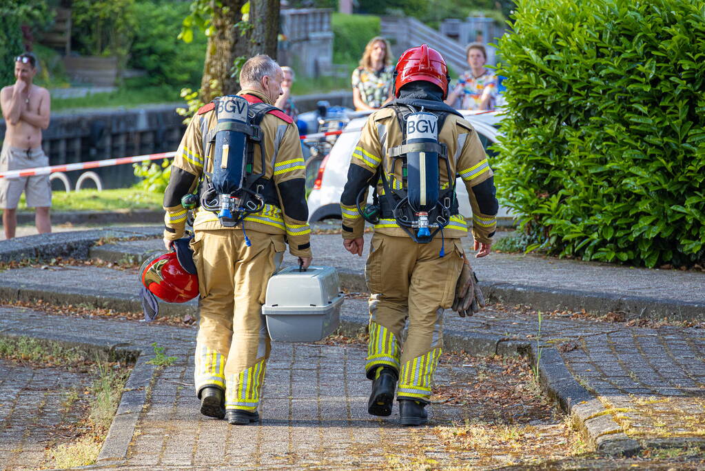 Kat uit woning gehaald na brand