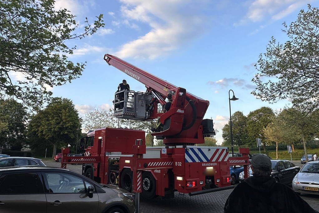 Brandweer haalt kraai uit boom