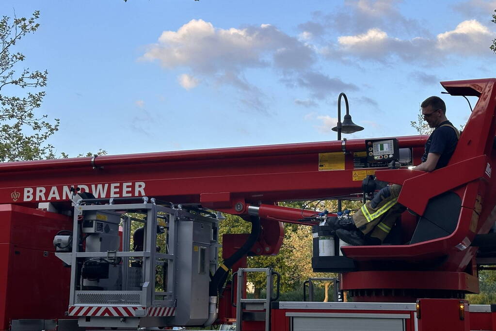 Brandweer haalt kraai uit boom