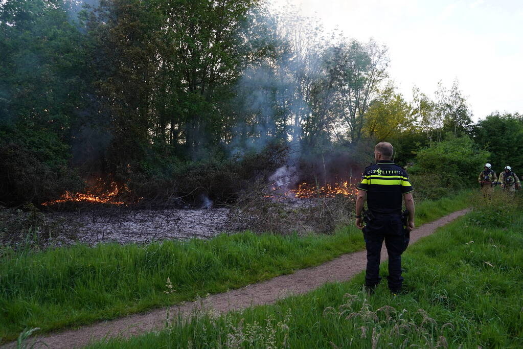 Tientallen vierkante meters natuurgebied verwoest door Brand