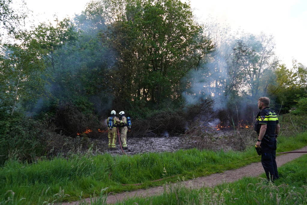 Tientallen vierkante meters natuurgebied verwoest door Brand