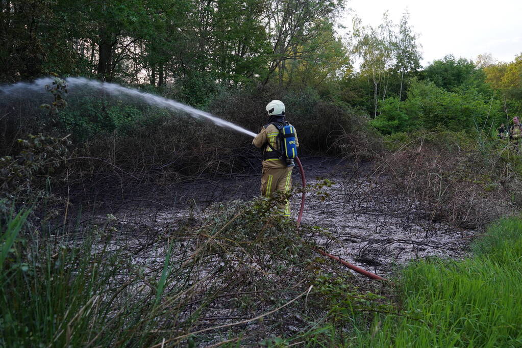 Tientallen vierkante meters natuurgebied verwoest door Brand