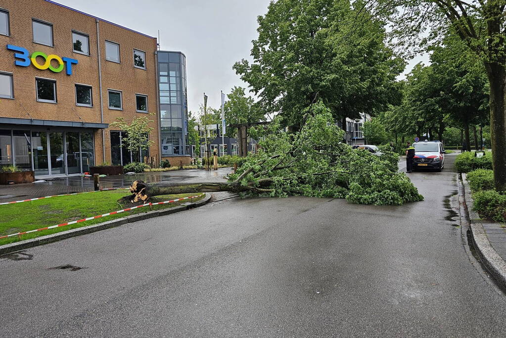 Weg geblokkeerd door omgevallen boom