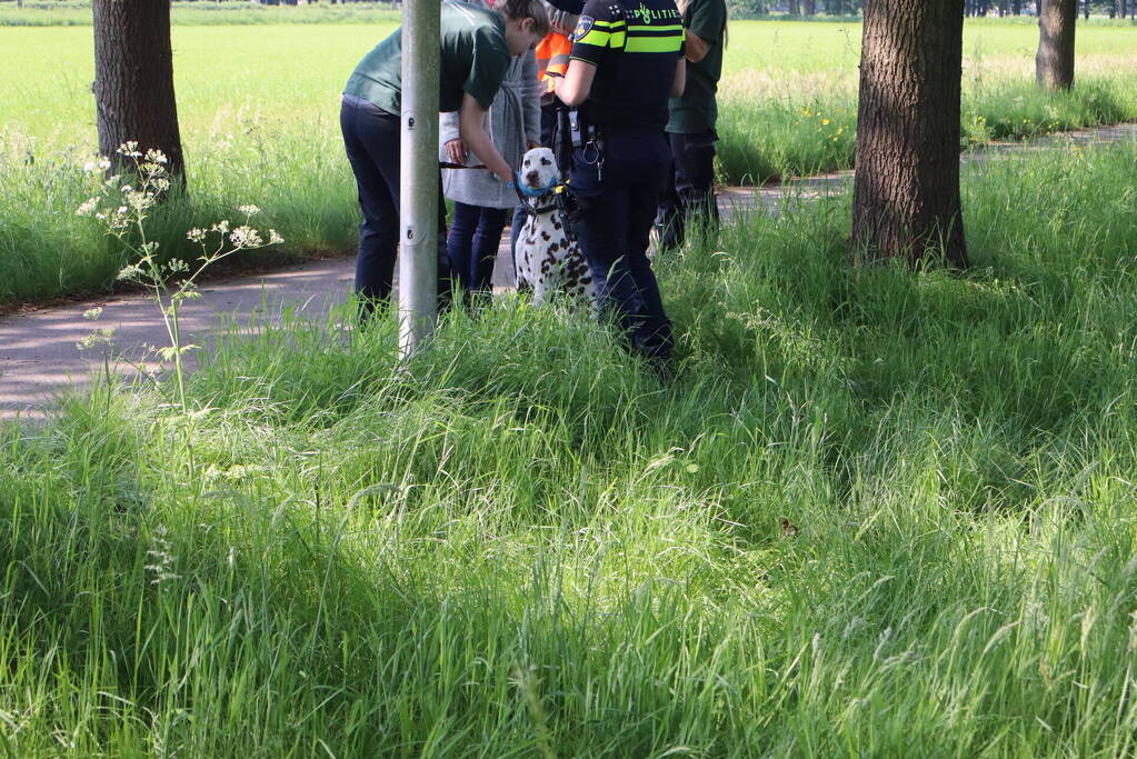 Automobilist raakt gewond bij botsing tegen boom