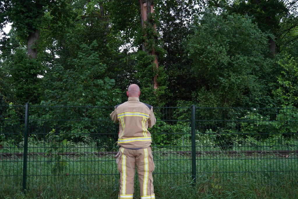 Geen treinen vanwege takken op spoor