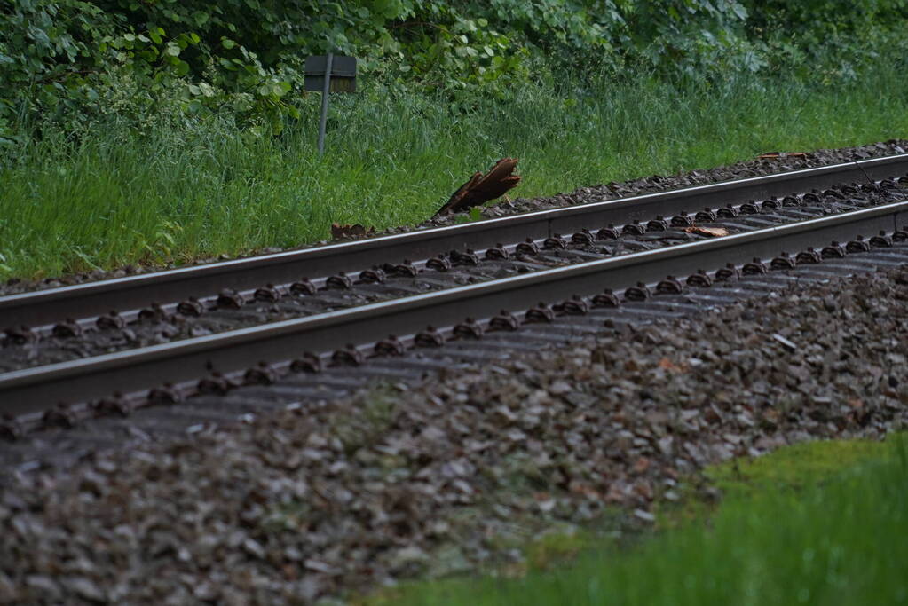 Geen treinen vanwege takken op spoor