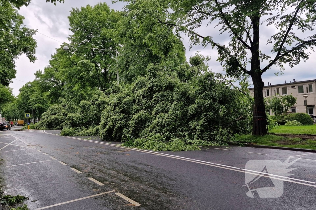 Bomen vallen om door hevige onweersbui