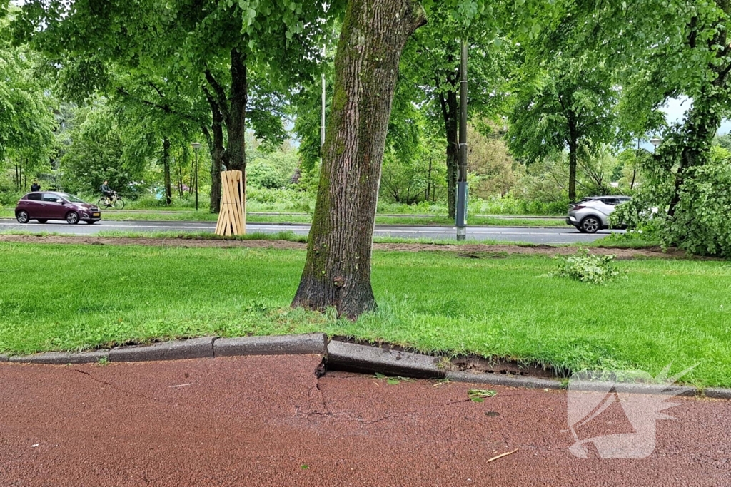 Bomen vallen om door hevige onweersbui