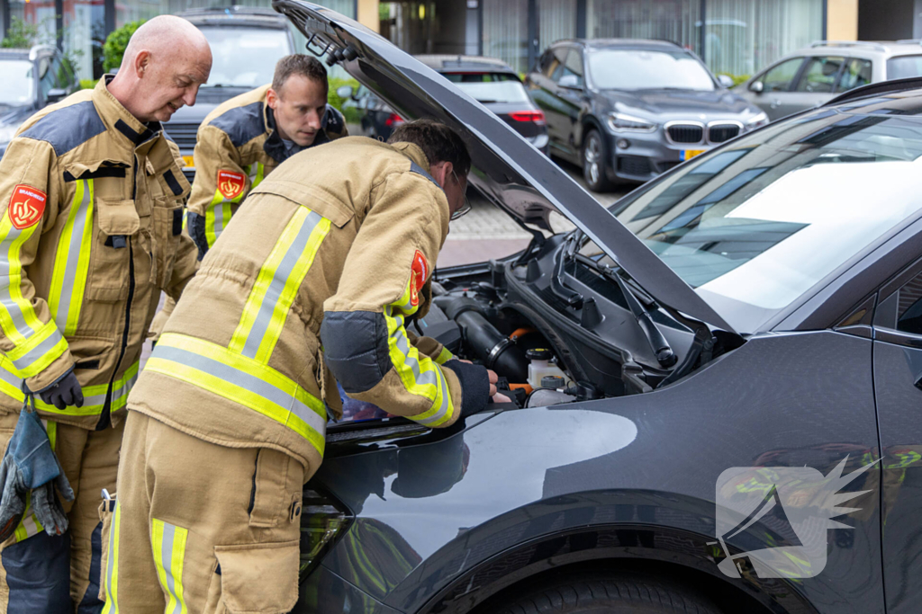 Kat opgesloten onder motorkap auto