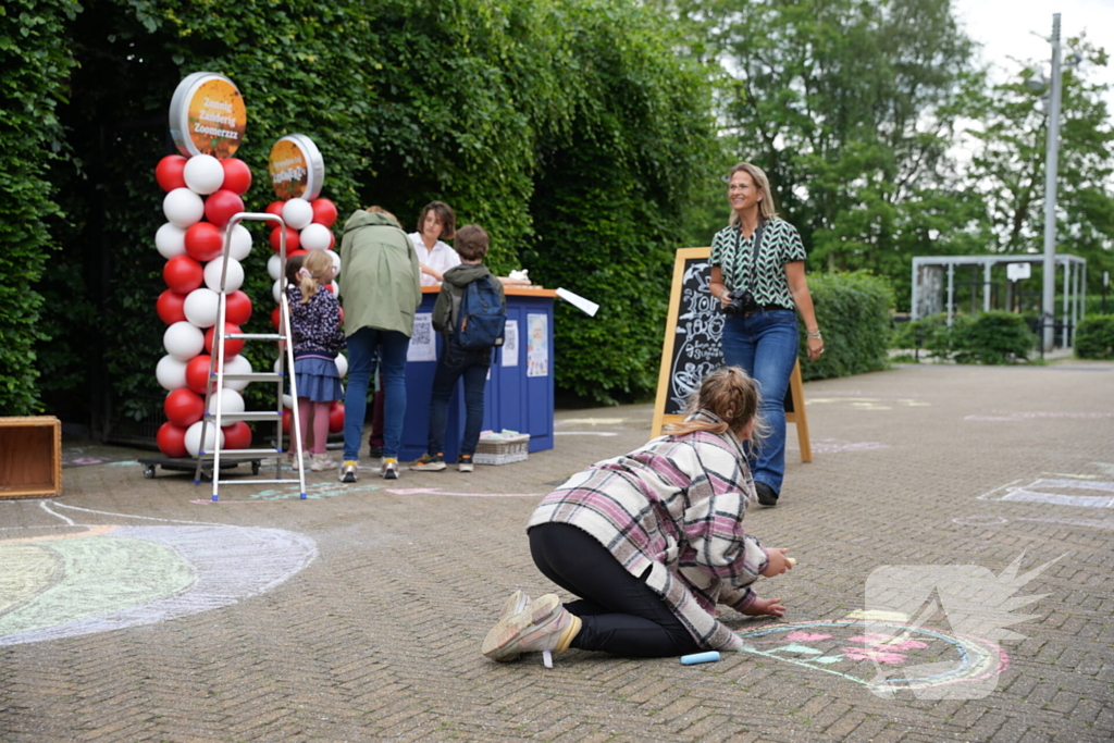 Groot stoepkrijtkunstwerk om geld op te halen voor Prinses Máxima Centrum