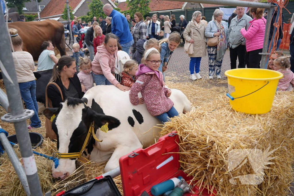 Koeien knuffelen tijdens Bunschoter Boeren- en Beestenboel