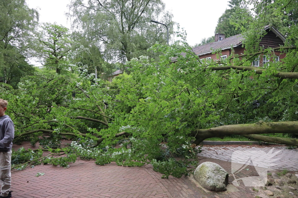 Flinke schade na omvallen boom park Daalhuizen