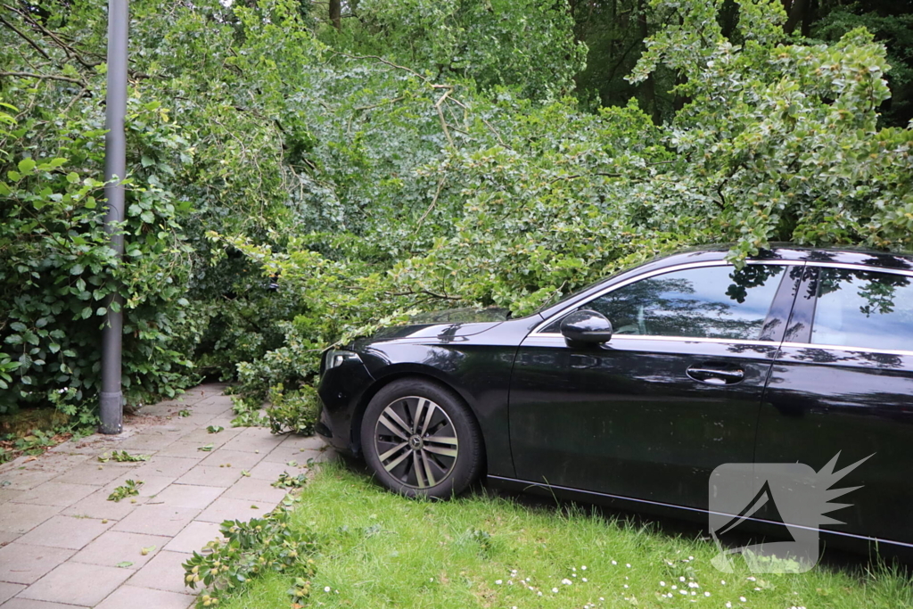 Flinke schade na omvallen boom park Daalhuizen