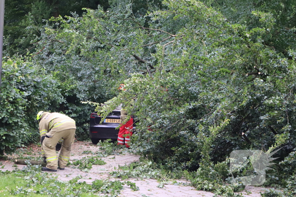 Flinke schade na omvallen boom park Daalhuizen