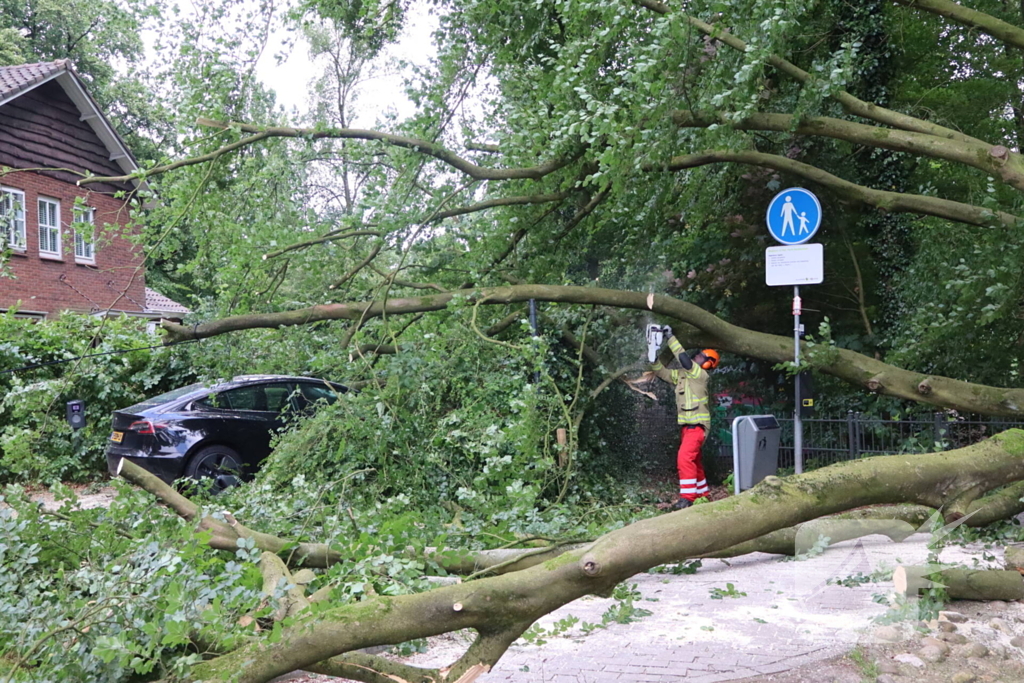 Flinke schade na omvallen boom park Daalhuizen