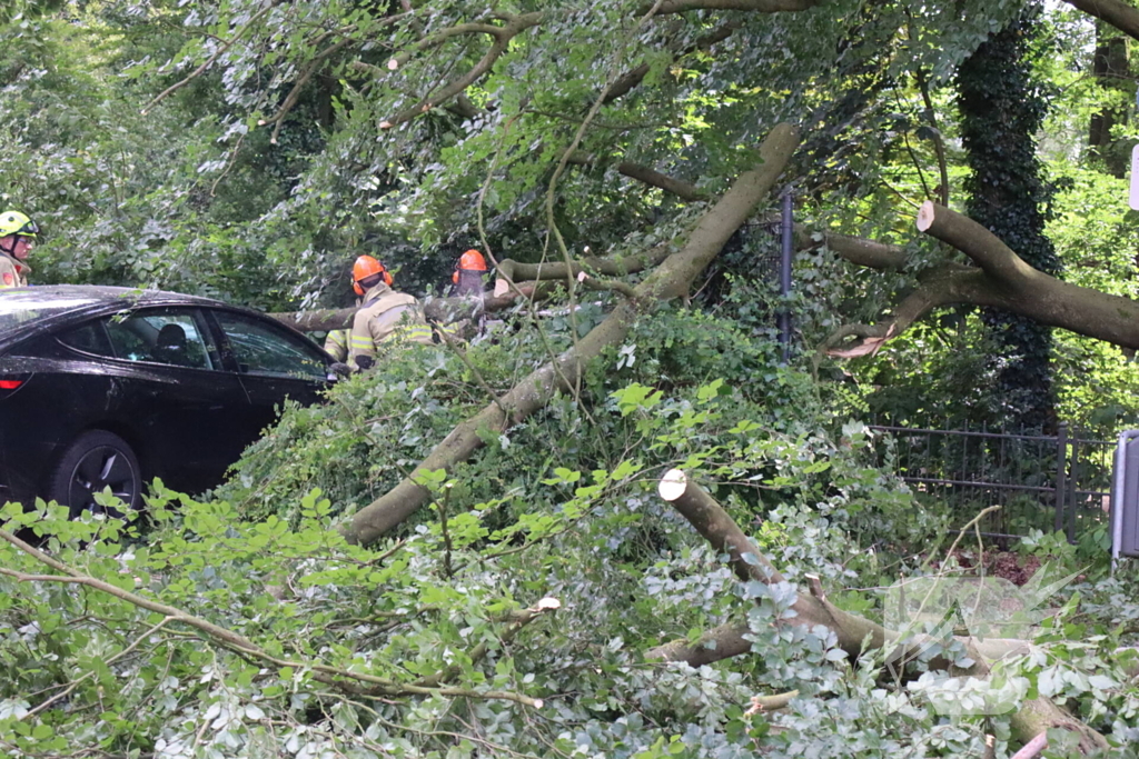 Flinke schade na omvallen boom park Daalhuizen