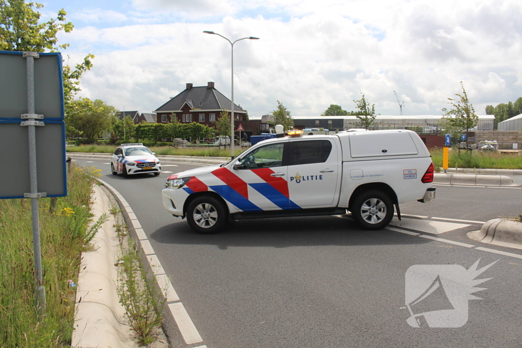 Vogel vliegt tegen voorruit bestelbus