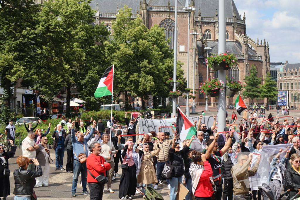 Veel demonstranten bij Pro Palestina demonstratie