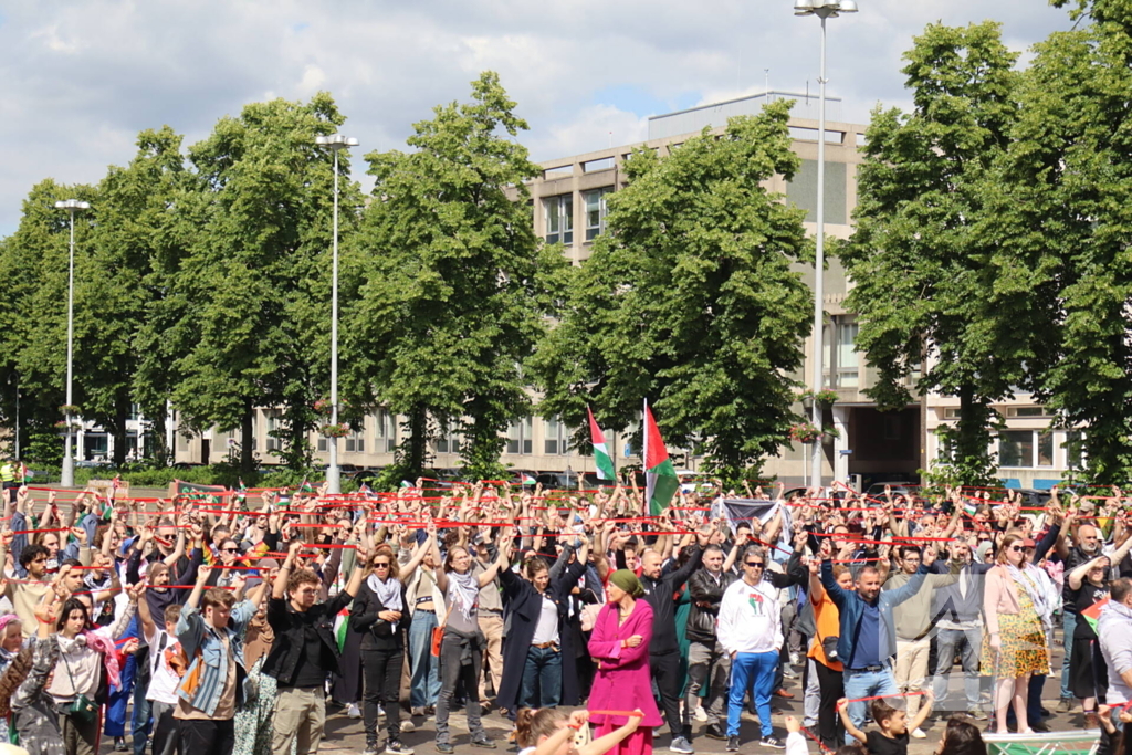 Veel demonstranten bij Pro Palestina demonstratie