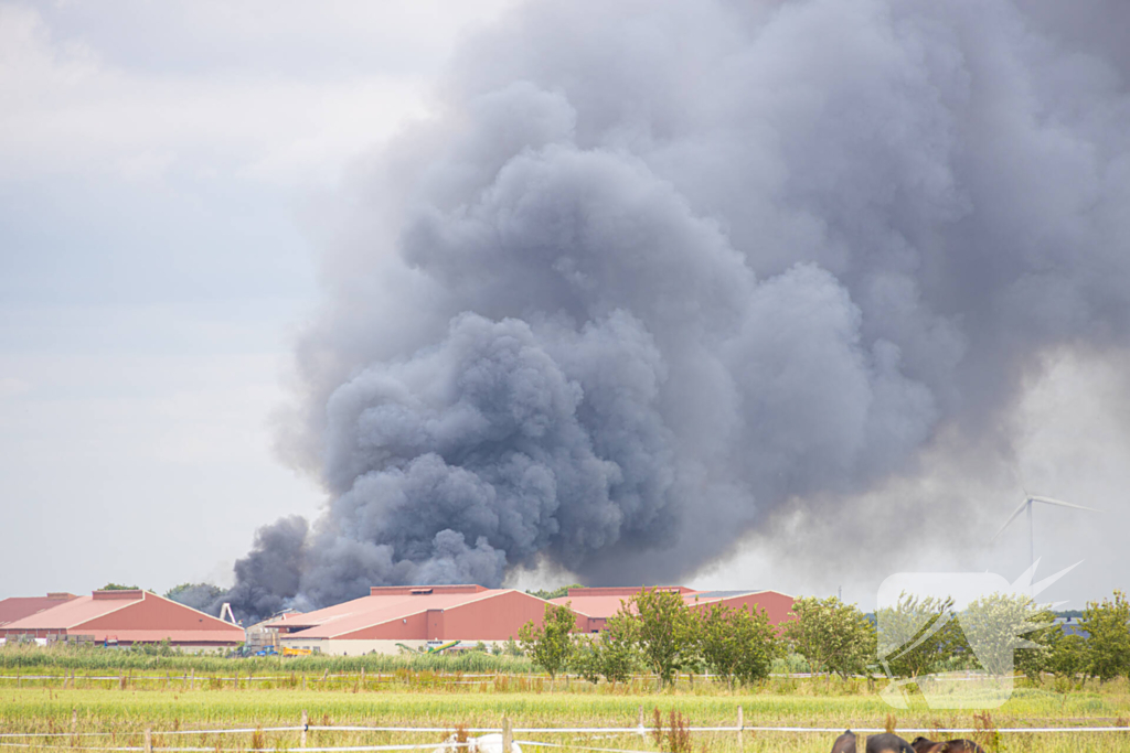 Grote zwarte wolken bij brand in landbouwschuren