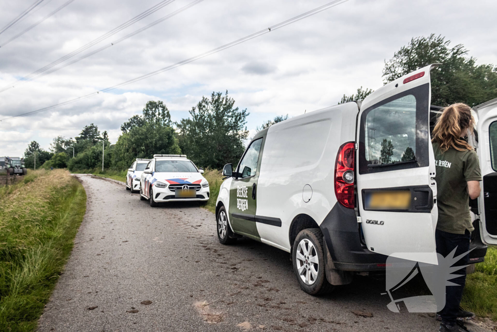 Grote zoektocht naar ontsnapte Serval