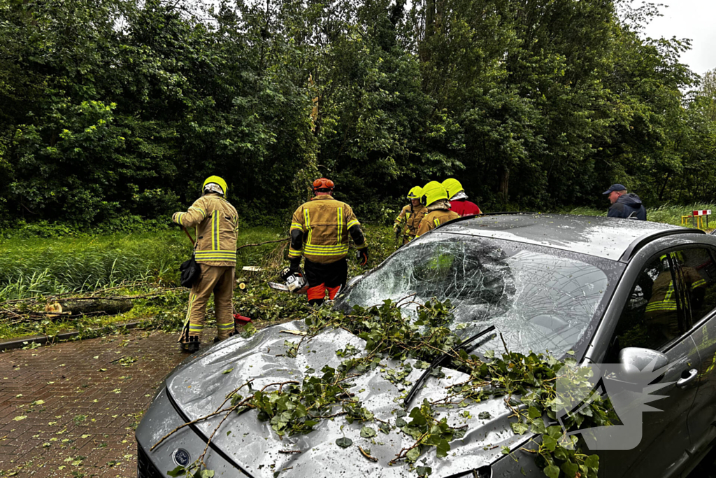 Auto fiks beschadigd door omgevallen boom