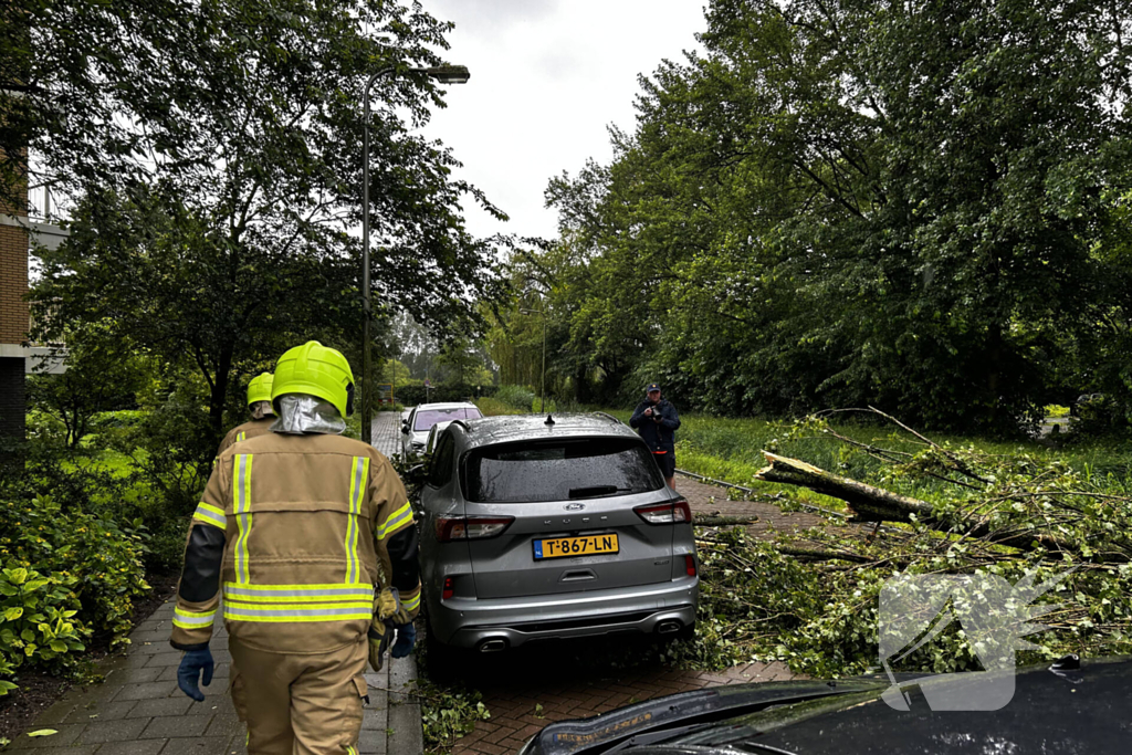 Auto fiks beschadigd door omgevallen boom