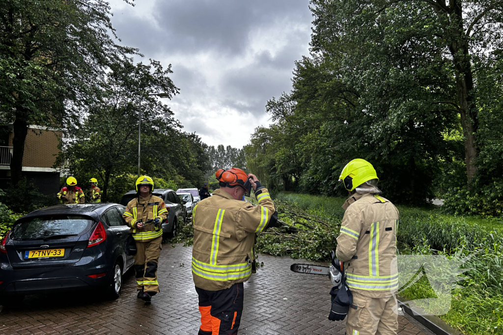 Auto fiks beschadigd door omgevallen boom